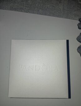 Pandora Armband inklusive charms - Herne