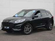 Ford Kuga, 1.5 ST-Line Fahrer Winter2, Jahr 2021 - Stutensee