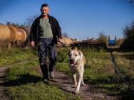 THOR - ein Typ der besonderen Art - Overath