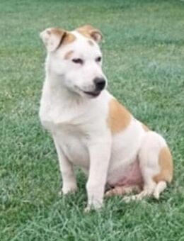 Anaisio - Weilmünster