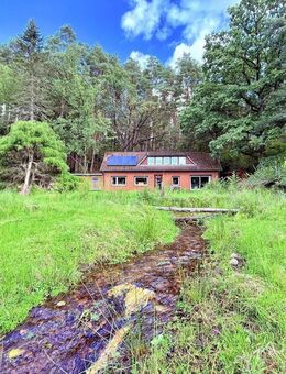"Einziehen, abschalten, genießen - Leben wie im Urlaub" Einfamilienhaus auf Naturgrundstück in Bispingen / Hützel - Bispingen