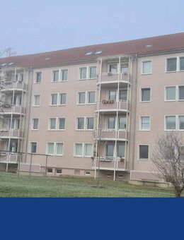 Schöne 3 1/2 Zimmer Wohnung am ruhigen Ortsrand - Berlstedt