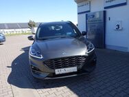 Ford Kuga, 1.5 ST-Line(150PS), Jahr 2022 - Hettstedt