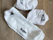 Kappa sneaker Socken Gr42 - Hamburg Hamburg-Mitte