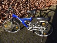 26" BMX Fahrrad Damen / Herren 21 (3x7) Gang - Bremerhaven