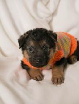 BUENO - na Langeweile kenne ich nicht - Overath