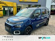 Citroën Berlingo, 1.5 Shine M Blue-HDI 180° Assistenzsysteme, Jahr 2023 - Dessau-Roßlau