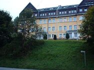 Gemütliche Zwei-Raum-Wohnung in Schwarzenberg - Schwarzenberg (Erzgebirge)