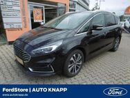 Ford S-Max Titanium 2.0 EcoBlue ACC AHK Navi Soundsys - Weinheim