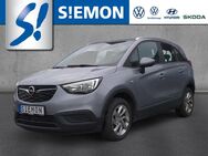 Opel Crossland, 1.5 D Edition v h AppleCar Andr, Jahr 2020 - Salzbergen