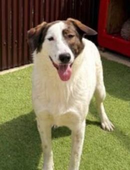 NADIA - sucht ihr Glück - Velbert