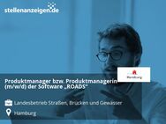 Produktmanager bzw. Produktmanagerin (m/w/d) der Software „ROADS“ - Hamburg