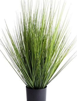 Kunstgras Grasarrangement King Festuca Gras, Botanic-Haus, Höhe 74 cm