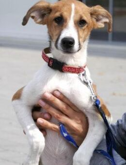 Haley ist einfach nur bezaubernd! - Karben