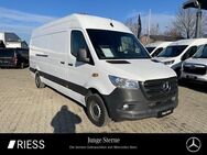 Mercedes Sprinter, 315 KA Maxi MBUX °, Jahr 2022 - Ravensburg