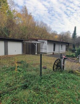 Nettes kleines EFH mit 2 Garagen und Nebengebäude in Beratzhausen - Beratzhausen