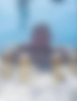 Löw*** - Herrsching (Ammersee)