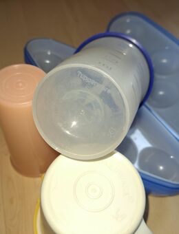 Tupperware divers - Königsmoos