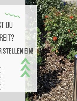 Mitarbeiter gesucht m/w/d - Leipzig