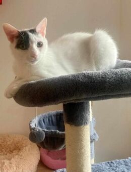 Penny und Pepe - Margetshöchheim