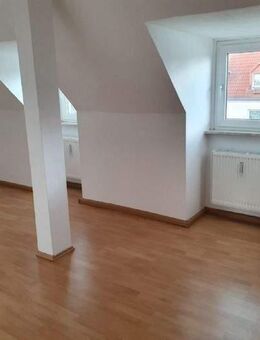 Sehr schöne, helle, renovierte 3-Raum-Wohnung mit EBK und Gartennutzung - Elsteraue