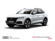 Audi Q5, 2.0 TDI quattro, Jahr 2019 - Potsdam