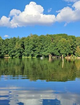 Traumhaftes Anwesen für Mensch und Tier mit Badesee, Pferdeställen, Koppel, Koibecken, Zierhühner.... - Mertendorf (Sachsen-Anhalt)