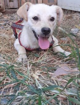 Süße Sandy - Berlin