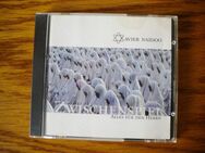 Xavier Naidoo-Alles für den Herren-Doppel-CD,von 2002,30 Titel - Linnich