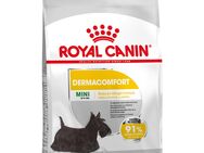Royal Canin Mini Dermacomfort - 3 kg