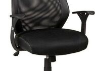 Duo Collection Chefsessel Niko
