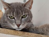 Malvina ist Fiv positiv - Berlin