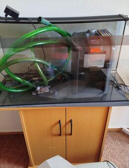 Komplettes Aquarium zu verkaufen - Borsdorf