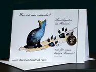 Virtueller Tier-Himmel - Trauerkarten für Tiere - Ulm