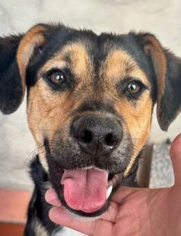 Coral möchte die Welt entdecken - Bad Camberg