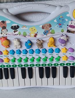 Musikinstrument für Kleinkinder - Mönchengladbach