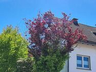 Schöne & ruhige 2 Zimmer, 40 qm Wohnung Garten EBK Parkplatz - Gummersbach