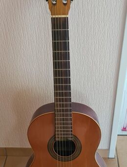Akkustikgitarre - Ladbergen