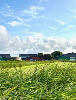 Hof in Alleinlage am Deich vor St. Peter Ording - Tating