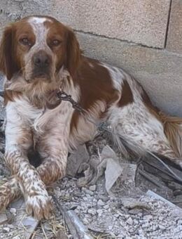 Thor liebt die Menschen - Lübeck