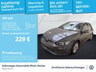 VW Golf, 1.5 TSI VIII Life, Jahr 2024 - Mannheim