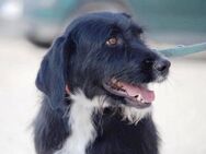Donella ist eine sanfte, schöne Lady! - Karben