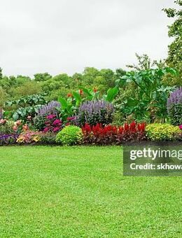 Nachbarschaftshilfe - Chemnitz