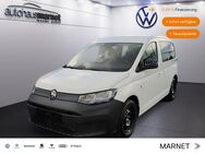 VW Caddy, TDI Winterpaket, Jahr 2022 - Bad Nauheim