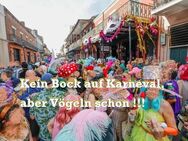 Du ( W ) kein bock auf Karneval, aber Lust auf Vögeln ! - Köln