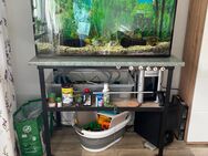 Aquarium nur als Set - 200l - Inkl. Fische! VHB 225 € - NUR ABHOLUNG! - Hagenow