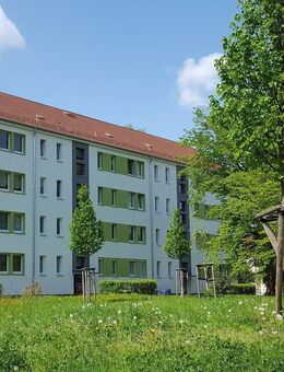 Attraktive Wohnung im Grünen!! - Hohenstein-Ernstthal