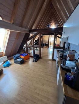 *Gemütliche Wohnung* mitten in der Altstadt - Hochheim (Main)