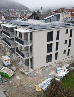 OG Wohnung mit Süd-Ost-Ausrichtung - gemeinsame Dachterrasse mit Seesicht / Energie A+ - Bodman-Ludwigshafen