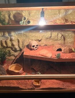 OSB-Holz Terrarium inkl. Zubehör - Polsingen